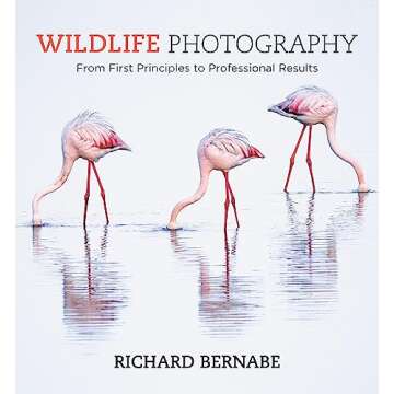 Wildlife Photography: An expert guide to capturing nature's beauty