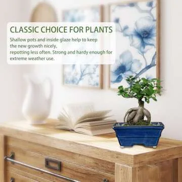 Villa Como Bonsai Pots Shallow Succulent Planters for Live Bonsai Trees Set of 2, 6.3" Ceramic Pot for Succulents Indoor with Drainage Hole, Outdoor Cactus Plant Bonsai Pot，Ceramic Flower Pot