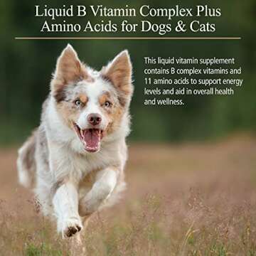 Rx Vitamins Amino B Plex – B Vitamin Complex for Pets 4 oz