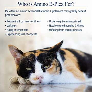 Boost Your Pet's Energy with Amino B Plex - 4 oz