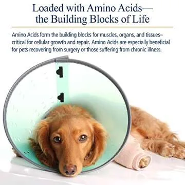 Boost Your Pet's Energy with Amino B Plex - 4 oz