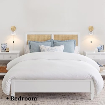 Shenmoyl Vintage Battery Operated Wall Sconce for Any Room