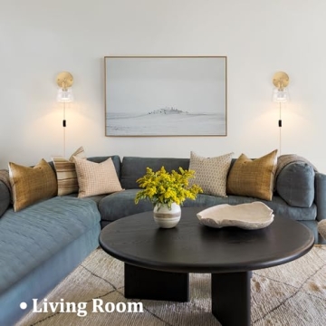 Shenmoyl Vintage Battery Operated Wall Sconce for Any Room