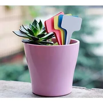 Buy KINGLAKE Waterproof Plastic Plant Labels - 100 Pcs