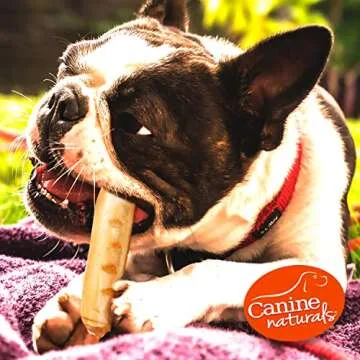 Canine Naturals Beef Chew - Rawhide Free Dog Treats - Made with Real Beef - Poultry Free Recipe - All-Natural and Easily Digestible - 5 Pack of 7 Inch Large Rolls for Dogs 50-75lb