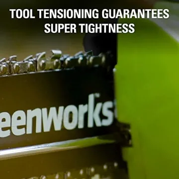 Lightweight Greenworks 40V 8-Inch Cordless Polesaw