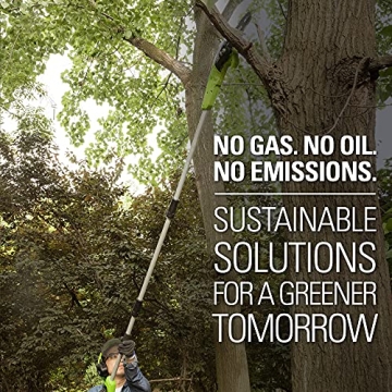 Lightweight Greenworks 40V 8-Inch Cordless Polesaw