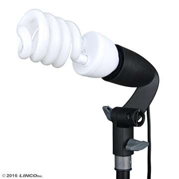 LINCO Lincostore 600W Photography Photo Video Portrait Studio Day Light Umbrella Continuous Lighting Kit AM153