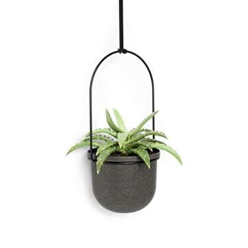 Umbra Triflora Hanging Planter for Window, Indoor Herb Garden, Set of 5, Black