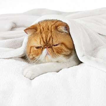 Bedsure White Fleece Throw Blanket - 300GSM Blankets for Couch, Sofa, Bed, Soft Lightweight Plush Co...