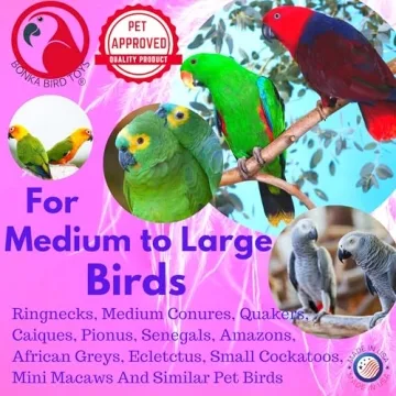 Bonka Bird Toys 1730 Foraging Heart for Medium Birds