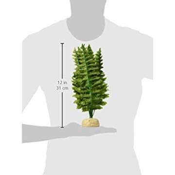 Exo Terra,Reptiles, Amphibians Boston Fern Terrarium Plant, Medium