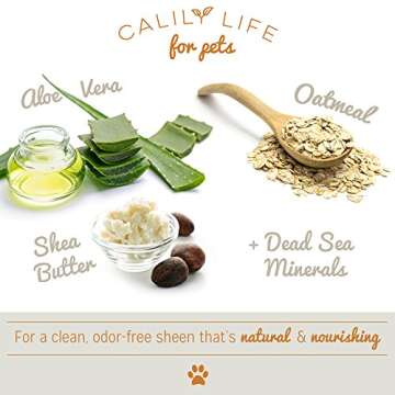 Calily Life Organic Oatmeal Dog and Cat Shampoo + Conditioner, 32 Oz. -Enriched with Aloe Vera and Shea Butter -Promotes Healthy Skin and Coat - Cleans, Deodorizes, Moisturizes & Conditions [ENHANCED]