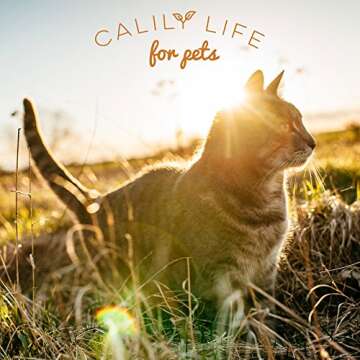 Calily Life Organic Oatmeal Dog and Cat Shampoo + Conditioner, 32 Oz. -Enriched with Aloe Vera and Shea Butter -Promotes Healthy Skin and Coat - Cleans, Deodorizes, Moisturizes & Conditions [ENHANCED]