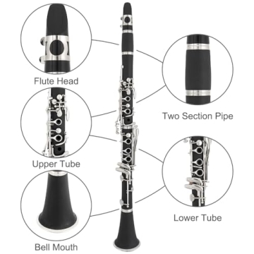Rsasi Bb Clarinet - Ideal Beginner Instrument for Music Lovers