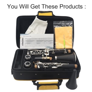 Rsasi Bb Clarinet - Ideal Beginner Instrument for Music Lovers