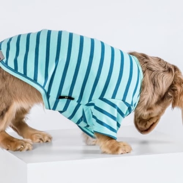Fitwarm Color Block Dog Shirt for Summer - Small Dogs