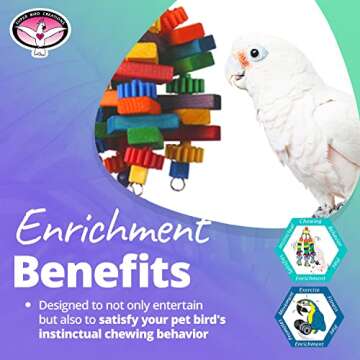 Super Bird Creations SB672 Top of The Heap Bird Toy, Ideal for Parrots - Large Bird Size, 15" x 6" x 6"