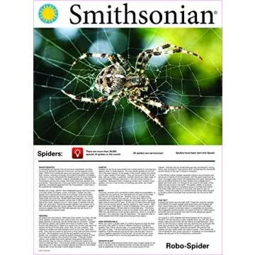 Smithsonian Robo Spider Kit - Build Your Robot Spider Today!