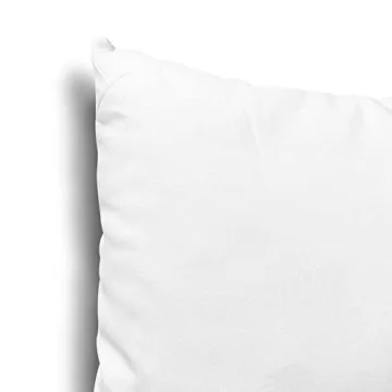 EDOW Throw Pillow Inserts, Set of 2 Lightweight Down Alternative Polyester Pillow, Couch Cushion, Sham Stuffer, Machine Washable. (White, 12x20)