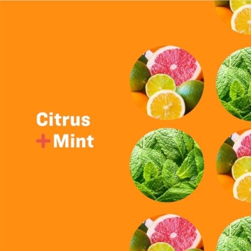 Everyone 3-in-1 Soap, Body Wash and Shampoo Pack