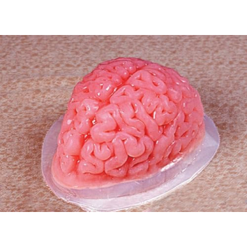 Fun World Brain Shaped Plastic Gelatin Mold