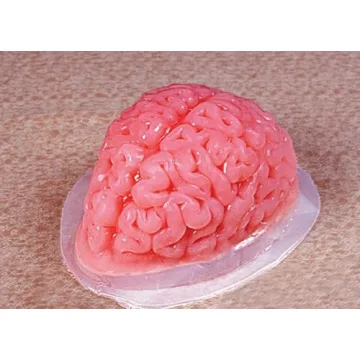 Fun World Brain Shaped Plastic Gelatin Mold