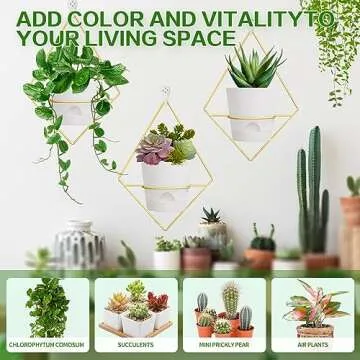 Koalaime Self-Watering Wall Planter Sets for Modern Decor