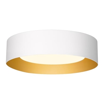 AUTELO Close to Ceiling Light Fixture, 14" Frosted Glass Shade Flush Mount Ceiling Light in White Fi...