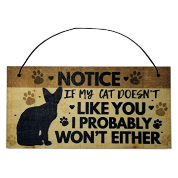 Notice If My Cat Doesn’t Like You I Probably Won’t Either, Hanging Funny Wall Signs, Cats Lady P...
