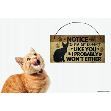 Funny Cat Wall Sign for Pet Lovers and Home Decor