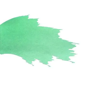 erofa Penbbs 60ml Fountain Pen Bottled Ink, Non-Carbon Non-Blocking Bottled Pen Ink, Apple Green(NO.409)