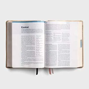 One Step Closer Bible NLT - Gold Edition for Inspiration