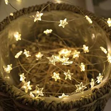 Twinkle Star String Lights 40 LED Spring Garden Decorative Indoor Outdoor Fairy Light USB & Battery Operated Lights 13ft Waterproof Lights with Remote Control for Festival Party Bedroom Decoration