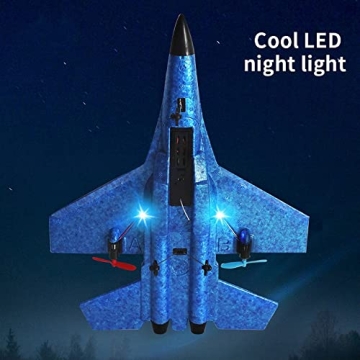 Aquard Duck RC Airplane - High-Speed Remote Control Fun