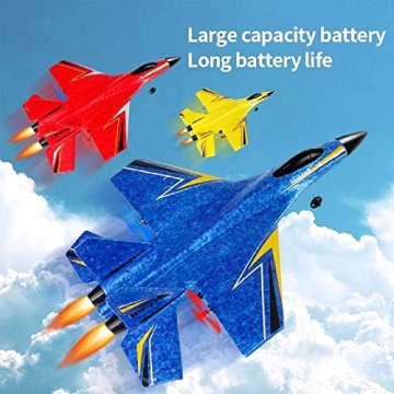 Aquard Duck RC Airplane - High-Speed Remote Control Fun