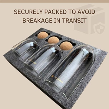 Stylish LILYFISH Glass Canisters Set for Kitchen Use