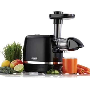 Omega H3000D Cold Press 365 Juicer for Nutrient-Rich Juices