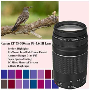 Canon EOS Rebel SL2 DSLR Camera with 18-55mm EF-S F/4-5.6 is STM Lens & EF 75-300mm f/4-5.6 III Lens + 420-800mm Zoom Lens + 32GB Memory + Camera Case + Tripod + Full Accessory Bundle
