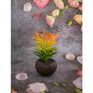 Pet Sympathy Gift Box for Dog Loss and Healing