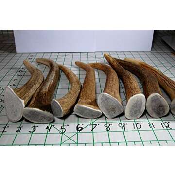 Big Dog Antler Chews - Extra Large Elk Antler Dog Treats