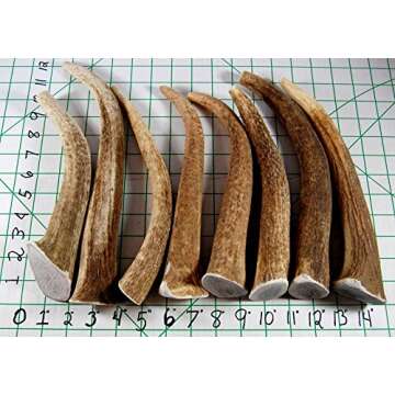 Big Dog Antler Chews - Extra Large Elk Antler Dog Treats