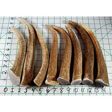 Big Dog Antler Chews - Extra Large Elk Antler Dog Treats