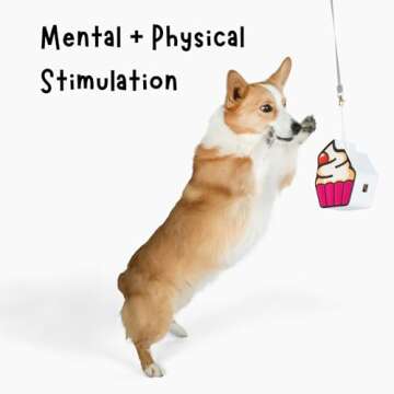 Dog Pinata Treat Dispensing Toys - Pet Puzzle Treat Dispenser Toy for Dogs Mental Stimulation - Small Pinata for Pets to Keep Them Busy with Treats - Pets Enrichment Games for Dog Birthday and Play