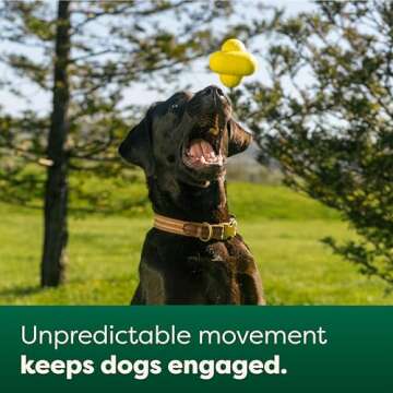 Earth Rated Dog Ball, Interactive Fetch Toy for All Breeds, Comes in Multiple Sizes, Made with Natural Rubber, Perfect for Indoor and Outdoor Use, Large, Yellow