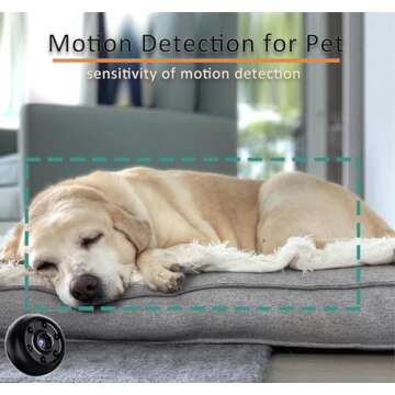 Mayycinco Hidden Camera WiFi Mini Spy Camera Wireless HD 1080P Small Camera with Motion Detection for Home Security and Outdoor Nanny Cams (Small)