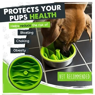 Mighty Paw Interactive Slow Feeder Bowls for Dogs