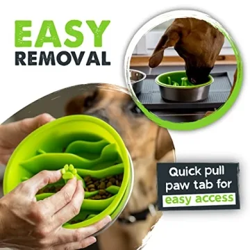 Mighty Paw Interactive Slow Feeder Bowls for Dogs