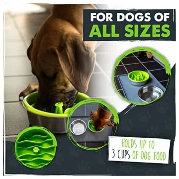 Mighty Paw Interactive Slow Feeder Bowls for Dogs