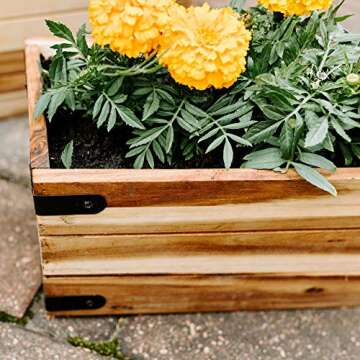 Thirteen Chefs Villa Acacia Wooden Planter Box - 16 Inch Rectangular Wood Planter for Garden, Patio, Window, Home Decor - Acacia Wood Plant Stand for Indoor or Outdoor Gardening
